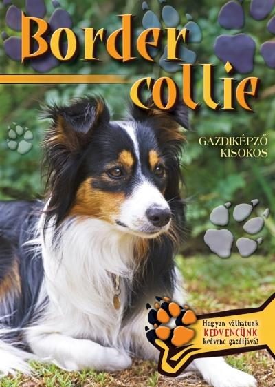 BORDER COLLIE
