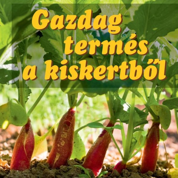 GAZDAG TERMÉS A KISKERTBŐL - LÉPÉSRŐL LÉPÉSRE -