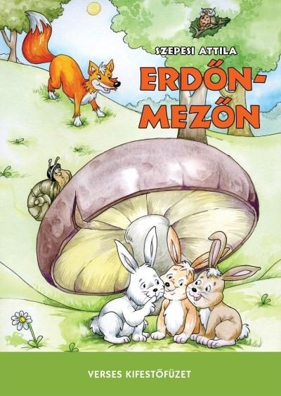 ERDŐN-MEZŐN - VERSES KIFESTŐFÜZET