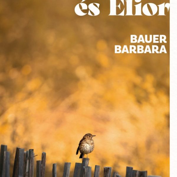 ÁMON ÉS ELIOR - ÉLFESTETT