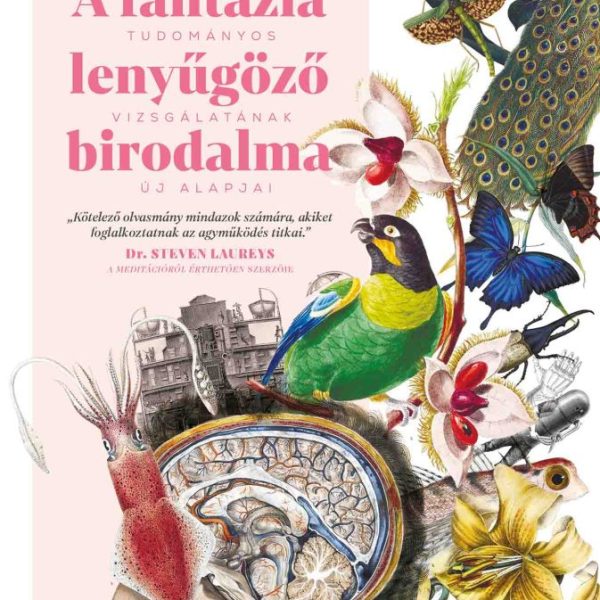 A FANTÁZIA LENYŰGÖZŐ BIRODALMA - A KÉPZELET TUDOMÁNYOS VIZSGÁLATÁNAK ÚJ ALAPJAI