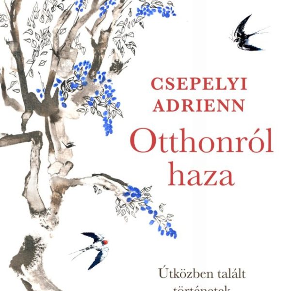 OTTHONRÓL HAZA - ÚTKÖZBEN TALÁLT TÖRTÉNETEK