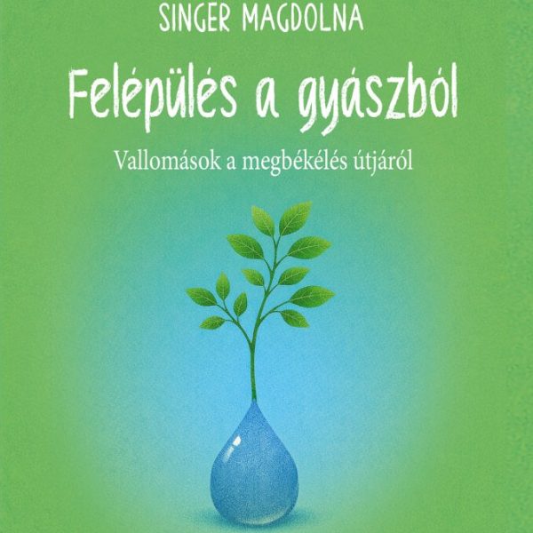 FELÉPÜLÉS A GYÁSZBÓL - VALLOMÁSOK A MEGBÉKÉLÉS ÚTJÁRÓL