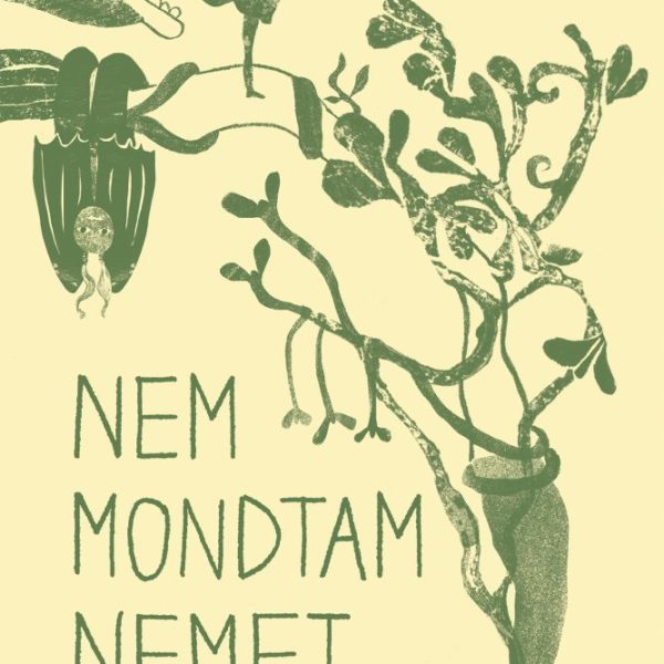 NEM MONDTAM NEMET - NOVELLÁK