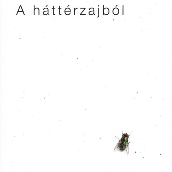 A HÁTTÉRZAJBÓL
