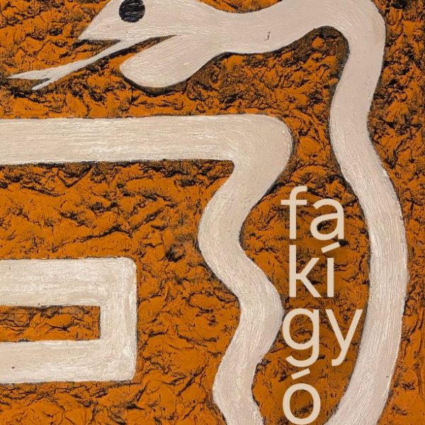 FAKÍGYÓ