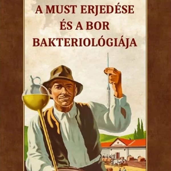 A MUST ERJEDÉSE ÉS A BOR BAKTERIOLÓGIÁJA