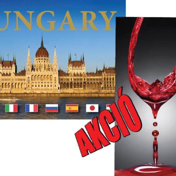HUNGARIAN TOP 40 WINES + HUNGARY (CSOMAG)