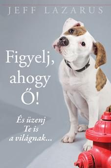 FIGYELJ, AHOGY Ő! - ÉS ÜZENJ TE IS A VILÁGNAK...