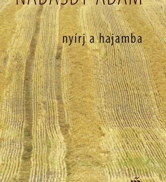 NYÍRJ A HAJAMBA