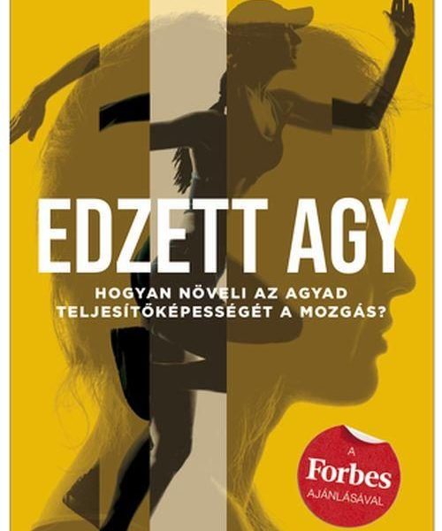EDZETT AGY