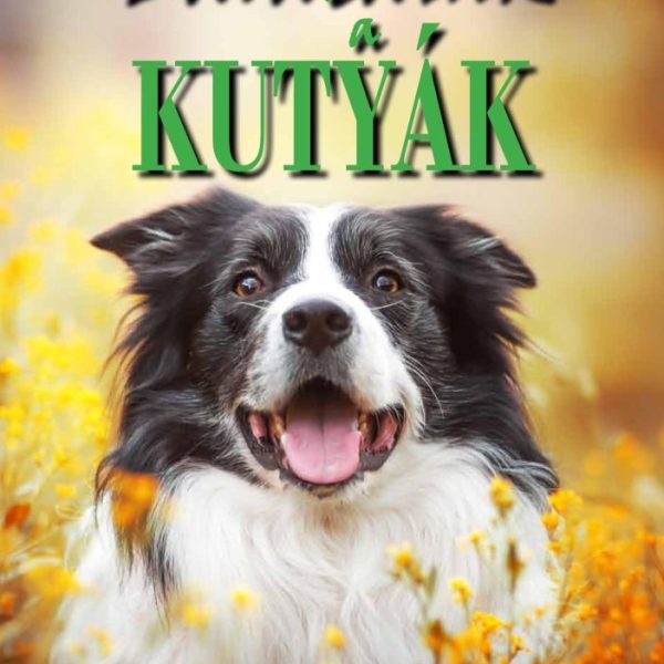 BARÁTAINK A KUTYÁK (NAGYALAKÚ)