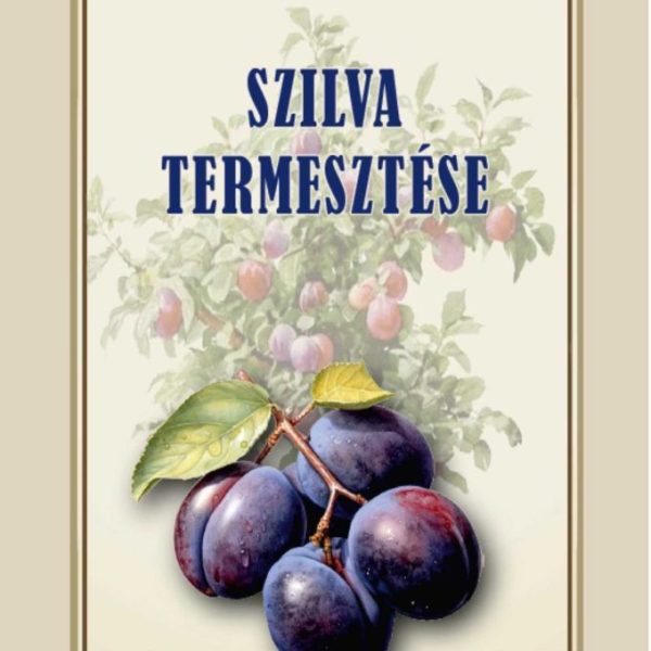 SZILVA TERMESZTÉSE