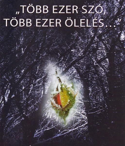 TÖBB EZER SZÓ, TÖBB EZER ÖLELÉS
