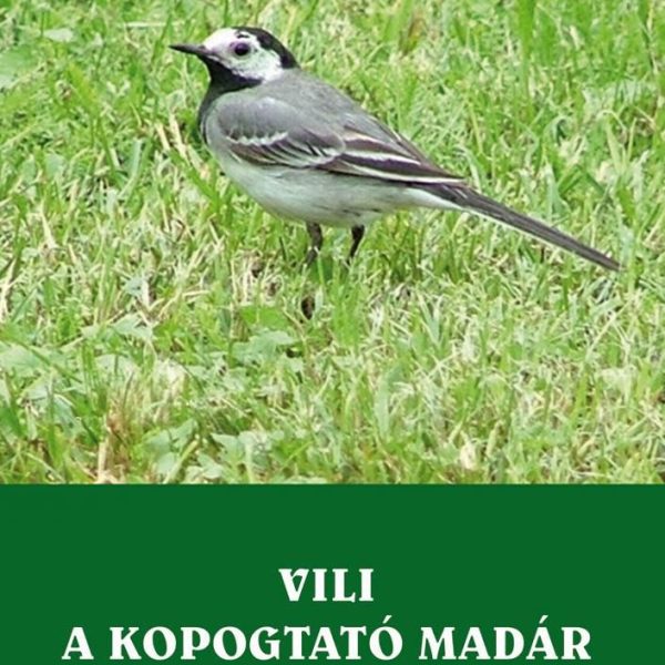 VILI A KOPOGTATÓ MADÁR