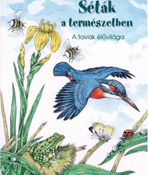 SÉTÁK A TERMÉSZETBEN - A TAVAK ÉLŐVILÁGA