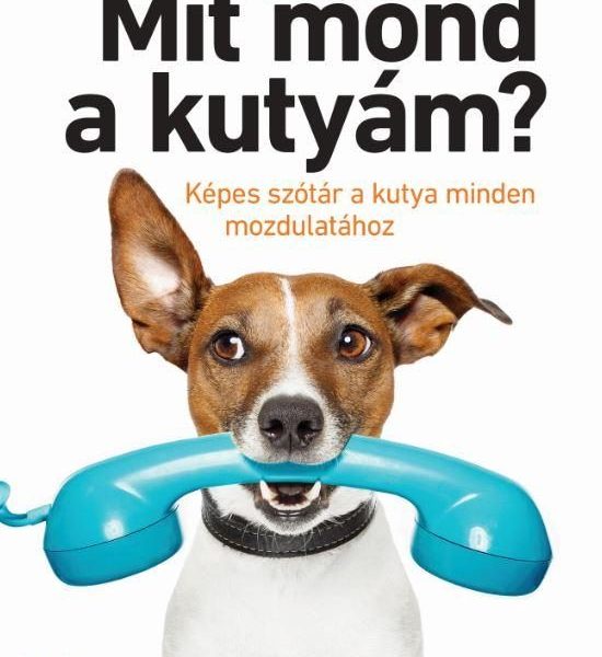 MIT MOND A KUTYÁM? - KÉPES SZÓTÁR A KUTYA MINDEN MOZDULATÁHOZ