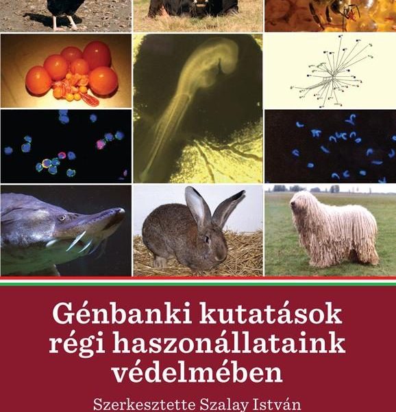 GÉNBANKI KUTATÁSOK RÉGI HASZONÁLLATAINK VÉDELMÉBEN