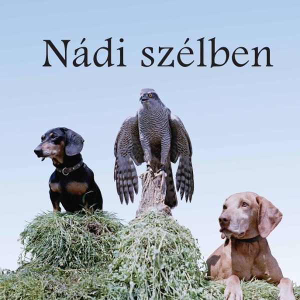 NÁDI SZÉLBEN
