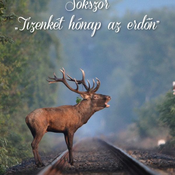 SOKSZOR "TIZENKÉT HÓNAP AZ ERDŐN"
