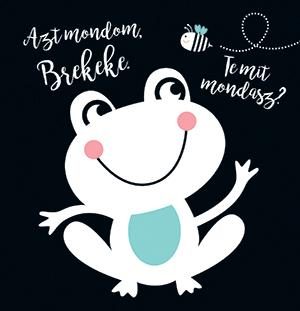 AZT MONDOM, BREKEKE - TE MIT MONDASZ? (TEXTIL KÖNYV)