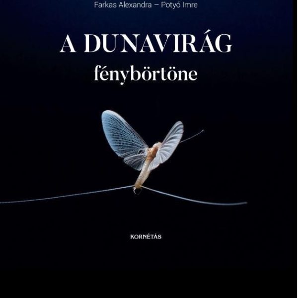 A DUNAVIRÁG FÉNYBÖRTÖNE