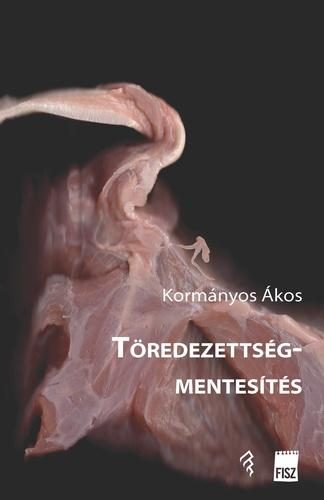 TÖREDEZETTSÉGMENTESÍTÉS