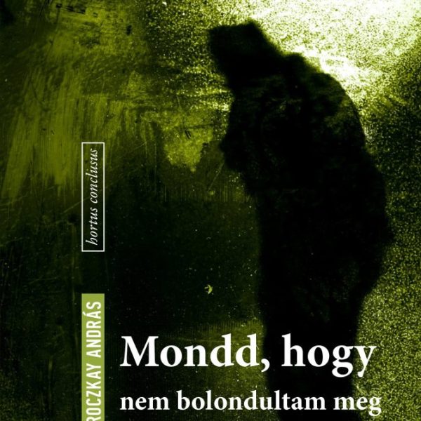 MONDD, HOGY NEM BOLONDULTAM MEG