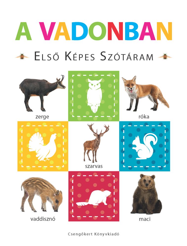 A VADONBAN ELSŐ KÉPES SZÓTÁRAM SZIVACSKÖNYV