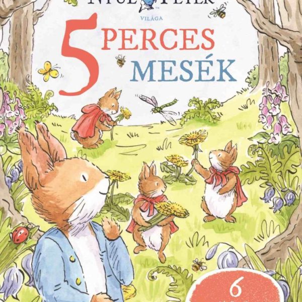 NYÚL PÉTER VILÁGA - NYÚL PÉTER 5 PERCES MESÉK