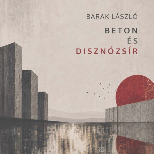 BETON ÉS DISZNÓZSÍR