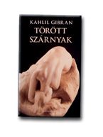 TÖRÖTT SZÁRNYAK