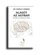 ALAGÚT AZ AGYBAN - GONDOLATOK, CSELEKEDETEK ÉS CSODÁK