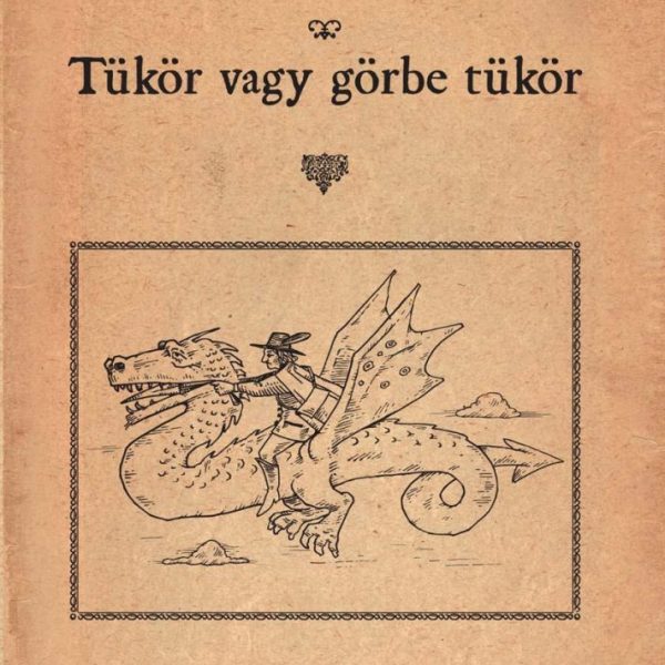TÜKÖR VAGY GÖRBE TÜKÖR?