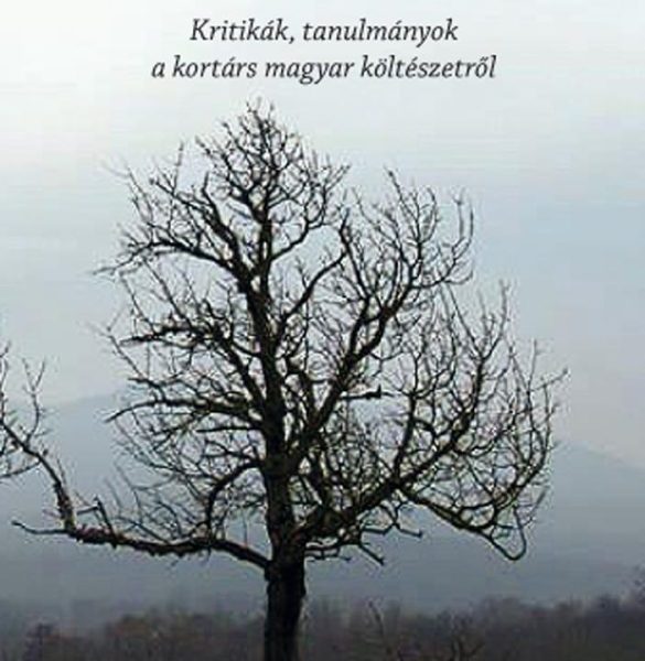 EGY LEHETSÉGES VÁLTOZAT